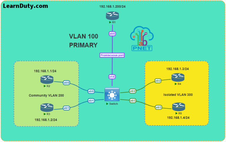 invalid private vlan type assignment