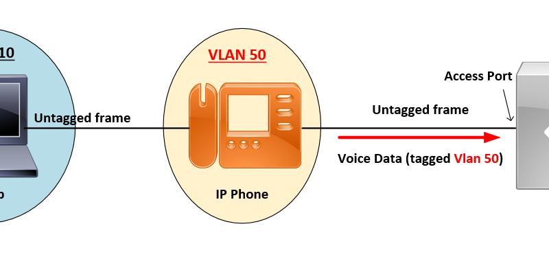 Voice VLAN Explained and Configuration (Step by Step Guide)