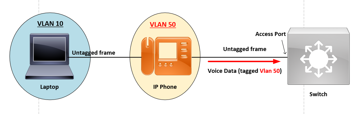 Voice VLAN Explained and Configuration (Step by Step Guide)