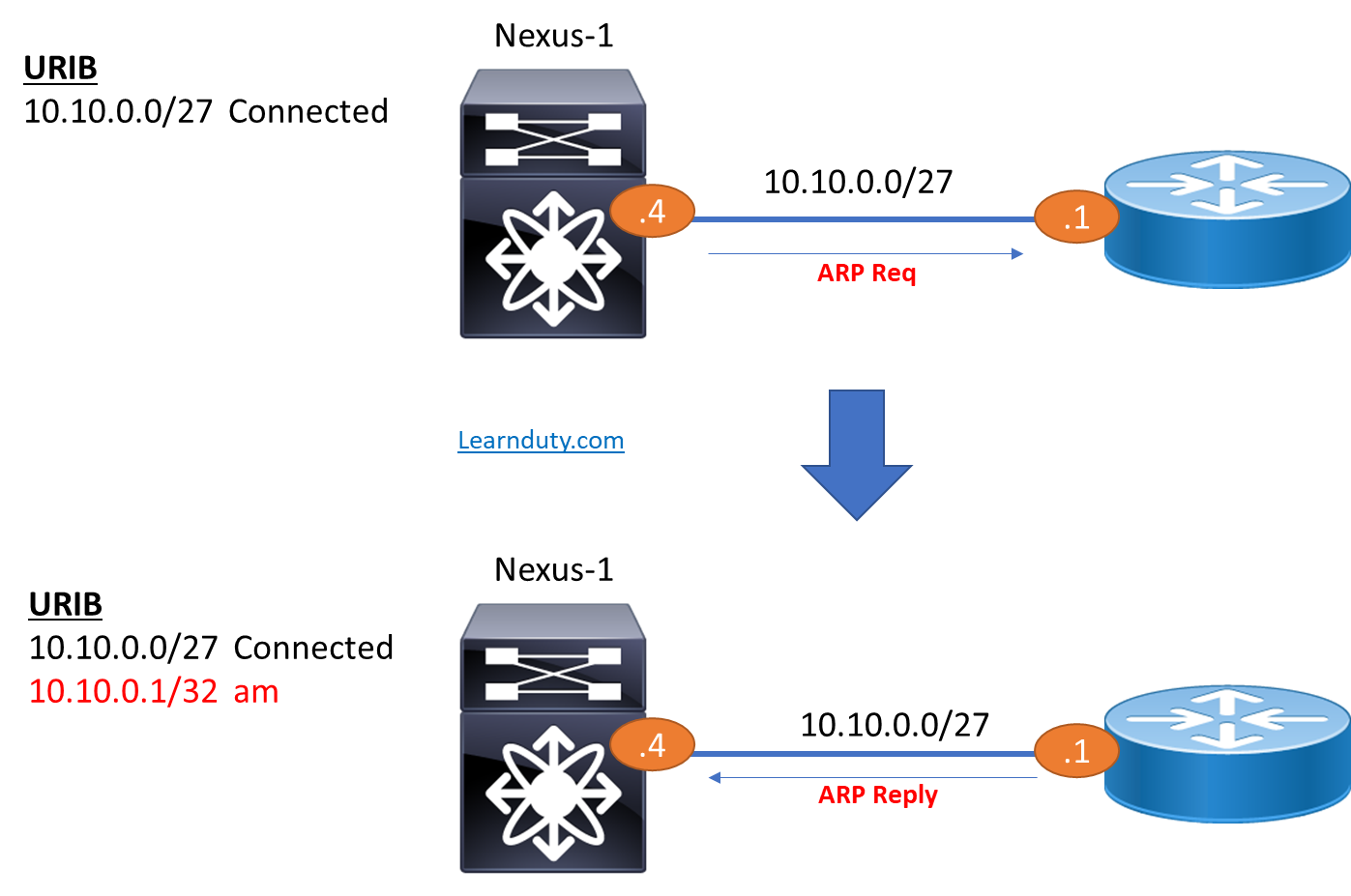 Adjacency Manager and Unicast Forwarding in Nexus Switches Explained