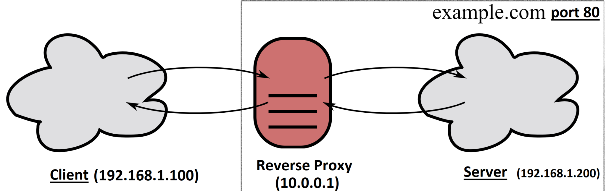 Understanding Proxy server And Reverse Proxy, How they work [ With