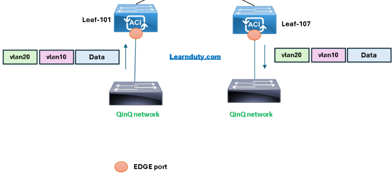 ACI Q in Q Dot1Q Tunnel Data Forwarding